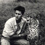 danandcheetah