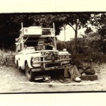 deziree_staged